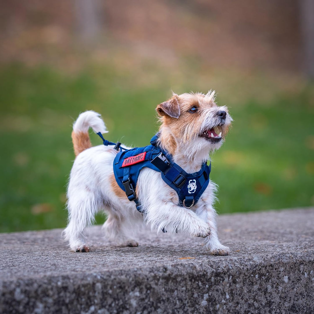 OneTigris Hundegeschirr, FIRE WATCHER Taktische Geschirr Sicherheitsgeschirr Hunde Hundeweste mit 1