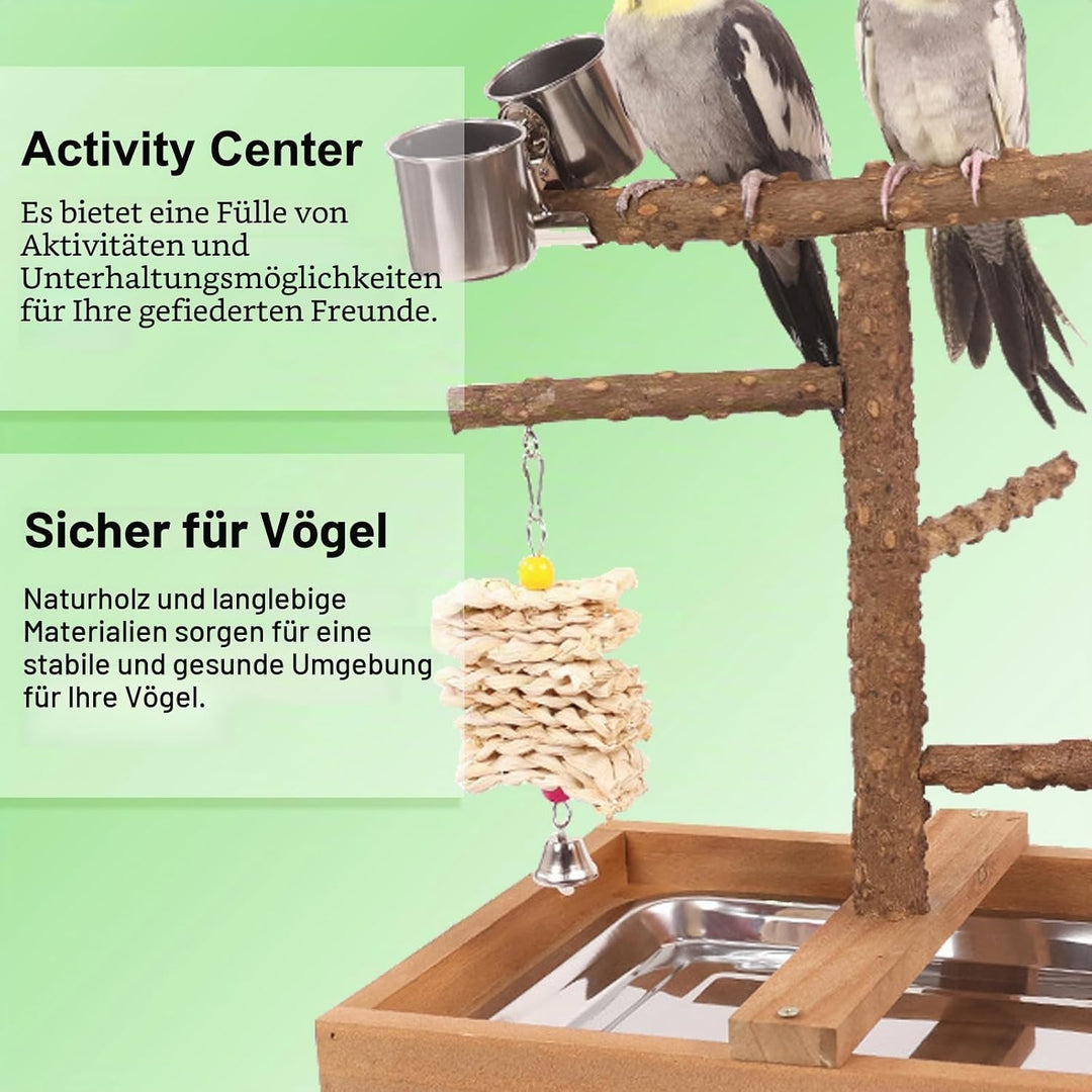Vogelspielplatz Wellensittich Spielplatz Spielzeug, Grosser Vogel Spielplatz mit Sitzstangen Hängesp