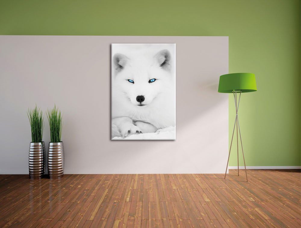 Pixxprint liegender Polarfuchs mit strahlenden Augen schwarz/weiss, Format: 70x100 auf hochkantiges