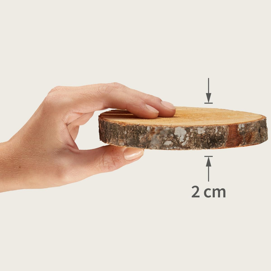 Kleine Holzscheiben 12 cm zum Holz-Deko Basteln - 20 Stk. runde EU Birkenholz Baumscheiben 20 Ø 12 -