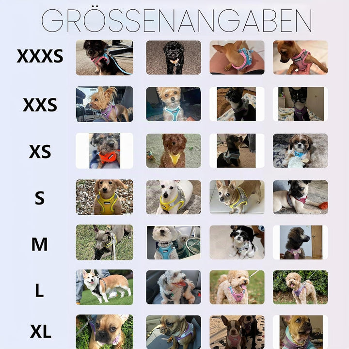 AIITLE Anti-Pull-Hundegeschirr, verstellbares Hundegeschirr mit gepolsterter Weste, einfach zu trage