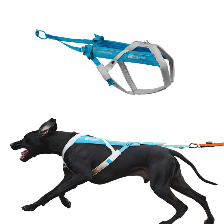 Non-stop dogwear FREEMOTION Harness 5.0 |111| Blue/Grey | Hunde-Geschirr für alle Sportarten, Grösse