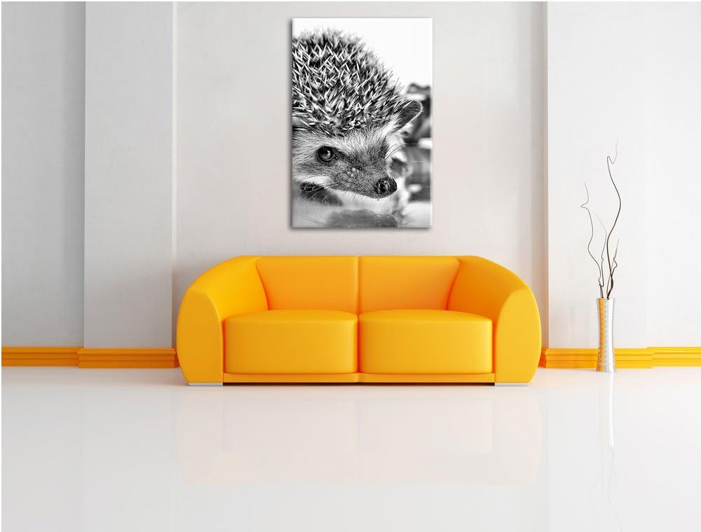Monocrome, Süsser Igel , Format: 100x70 auf Leinwand, XXL riesige Bilder fertig gerahmt mit Keilrahm