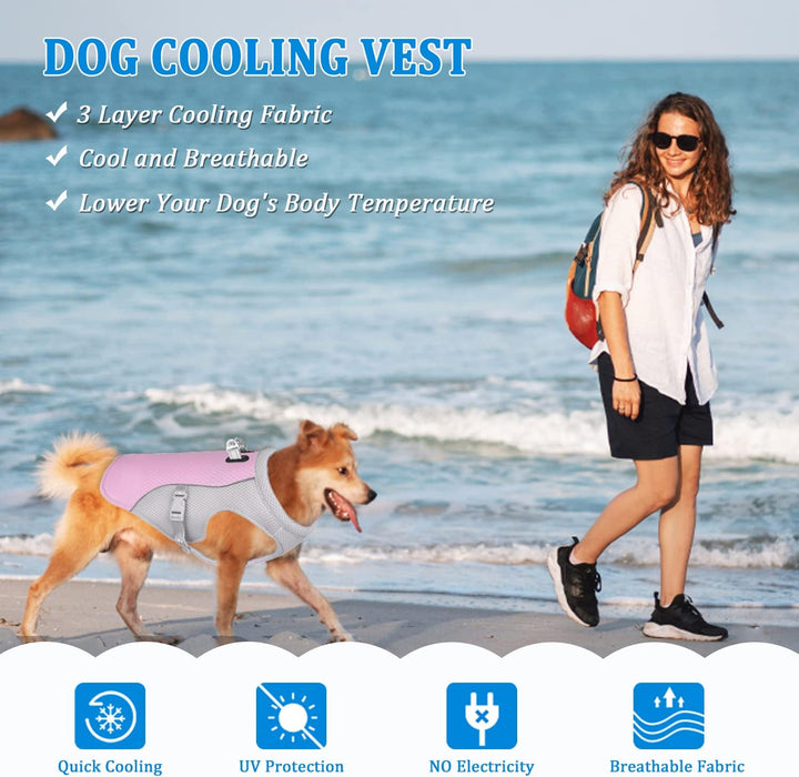 Hundekühlweste Atmungsaktives Mesh Hundejacke Sommer Cooler und Komfortabler Hundemantel Verstellbar