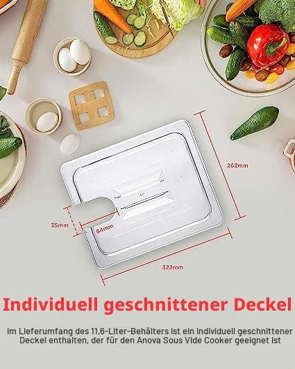 SousVideTools Behälter aus Polycarbonat, 11,6 l, mit Deckel passend für den Sous-Vide-Stick von Anov