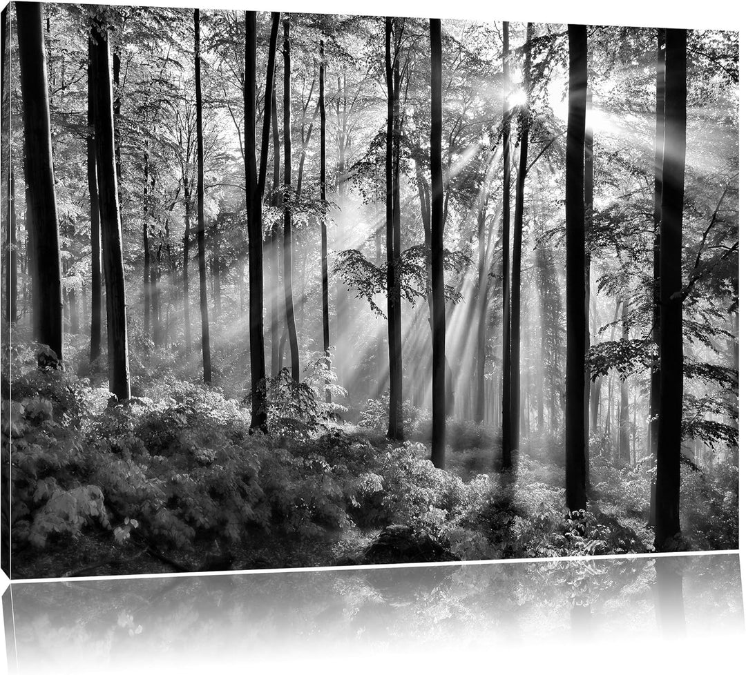 Pixxprint Sonnenstrahlen im Wald / 100x70cm Leinwandbild bespannt auf Holzrahmen/Wandbild Kunstdruck