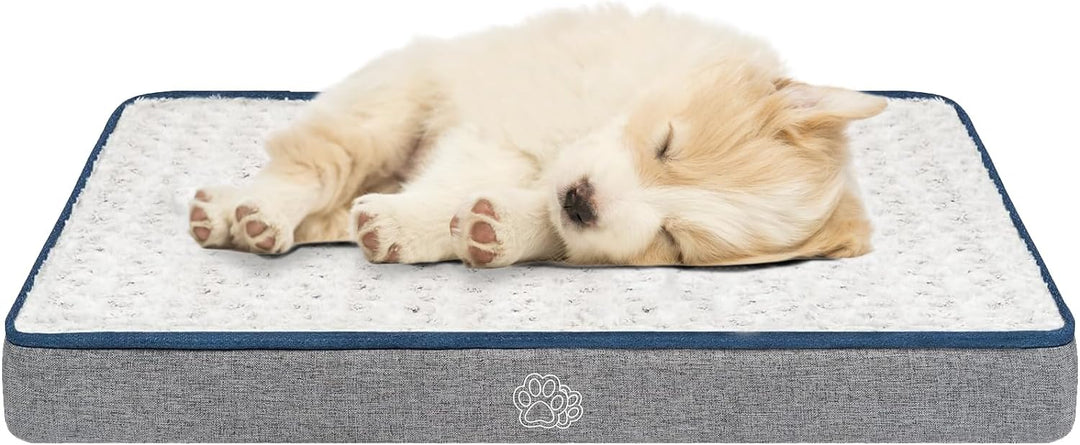 EMPSIGN Hundekissen kleine Hunde waschbar, Hundebett Wasserdicht S 60x45x7,5cm, Hundematte Abnehmbar