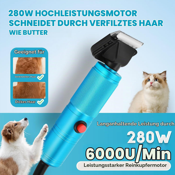 CGOLDENWALL Leise Hundeschermaschine Profi 280W, 2000-6000RPM Stufenlose Geschwindigkeitsregelung, 3