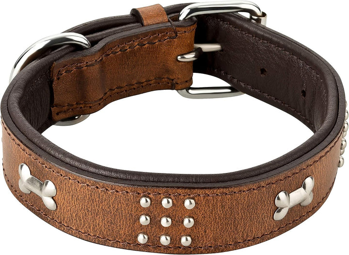 Schnüffelfreunde Nala Halsband für Hunde aus Leder mit Applikation und Nieten, Hundehalsband für den
