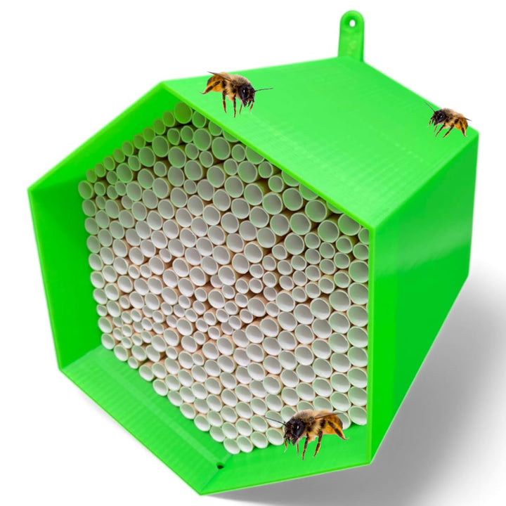 Wildbienen-Nisthilfe – absolut haltbar &amp; wetterfest. Insektenhotel mit 300 Nisthülsen. Hochwertiges