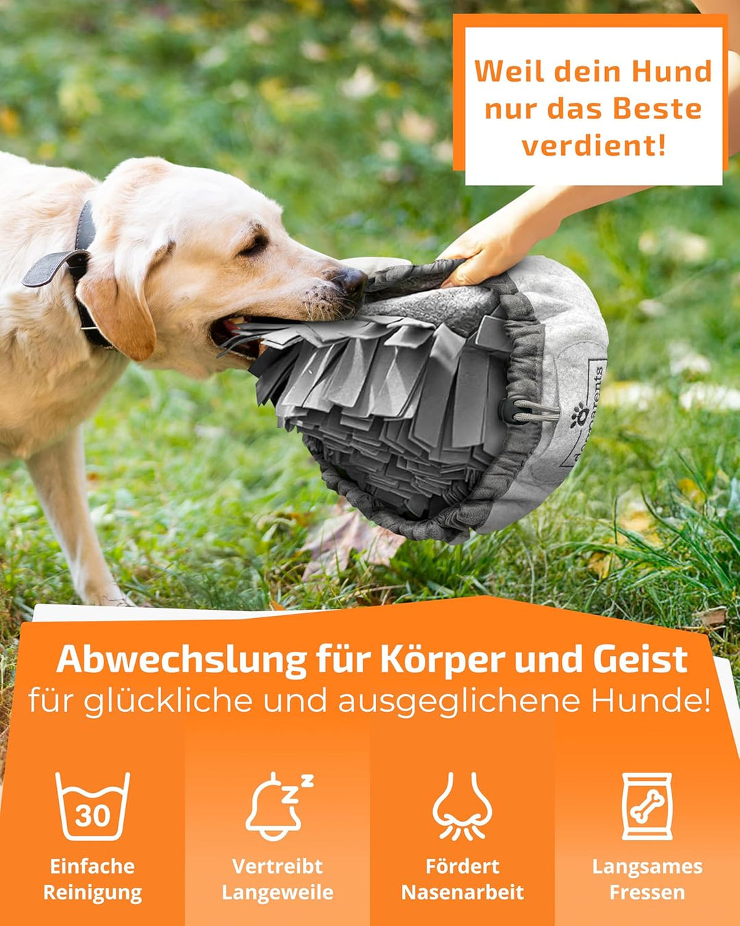 DOGPARENTS® Schnüffelteppich Hund klein & gross – Schnüffelmatte Hund ROBUSTER Hunde Schnüffelteppic