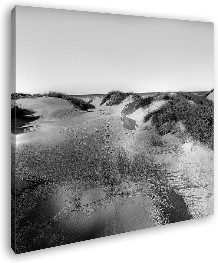 deyoli Gras bedeckte Sanddünen Format: 70x70 Effekt: Schwarz&Weiss als Leinwandbild, Motiv fertig ge