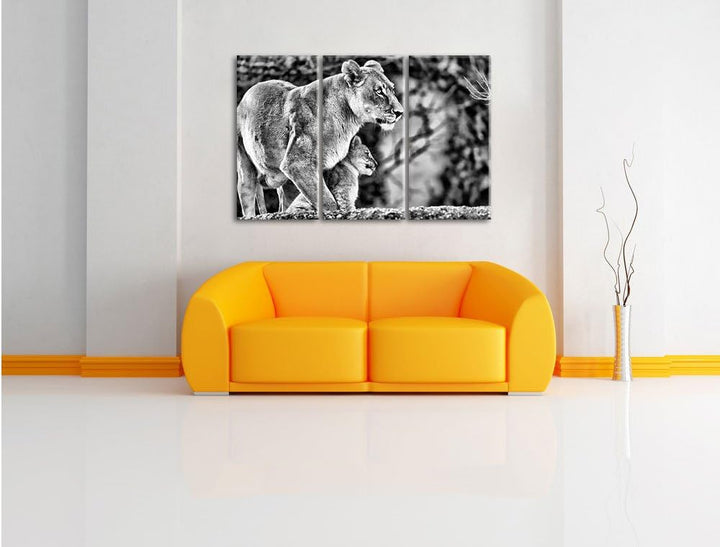 Pixxprint Löwenmutter mit Jungtier als Leinwandbild/Grösse: 3 Teilig (120x80) cm/Wandbild/Kunstdruck
