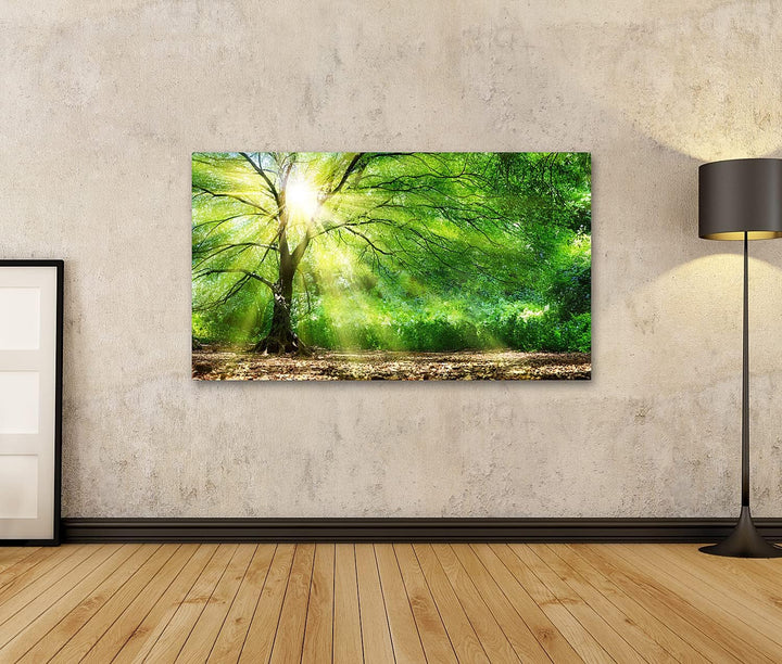 islandburner Bild auf Leinwand Baum Mit Sonnenschein Sonnenstrahlen Bilder Wandbilder Poster 80L x 4