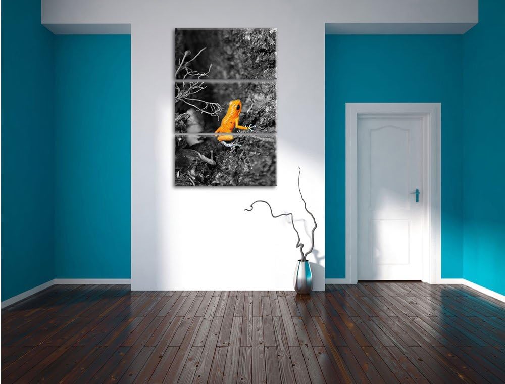 Pixxprint giftiger Kleiner Frosch als Leinwandbild/Grösse: 3 Teilig (120x80) / Wandbild/Kunstdruck/f