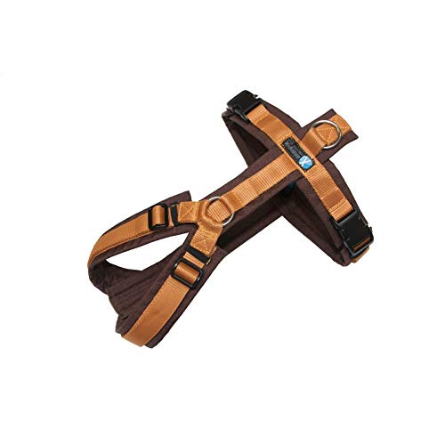 anny-x Brustgeschirr Fun braun Bernstein - Gr. XL