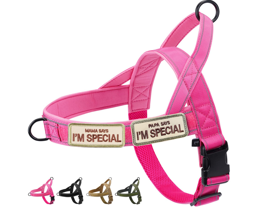 No Pull Hundegeschirr für kleine mittelgrosse Hunde, reflektierend ausbruchsicher verstellbar ohne Z