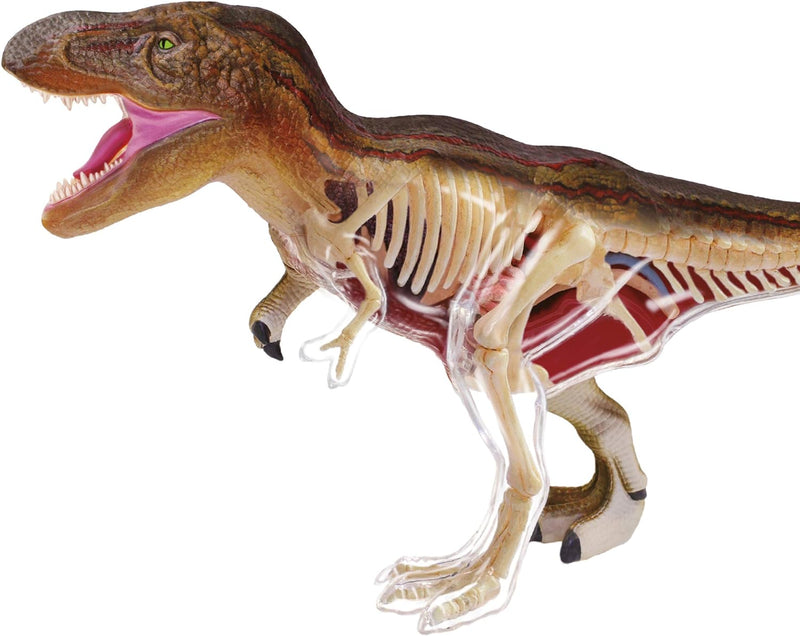 EXPLORA - T-Rex - Paläontologie - 546092 - Realistisches Modell mit 36 Teilen - Montageanleitung und