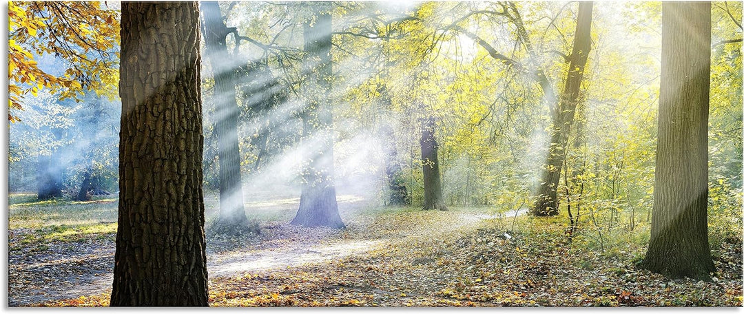 Glasbild Panorama | Wandbild aus Echtglas | Sonnenstrahlen im Wald | 100x40 cm | inkl. Aufhängung un