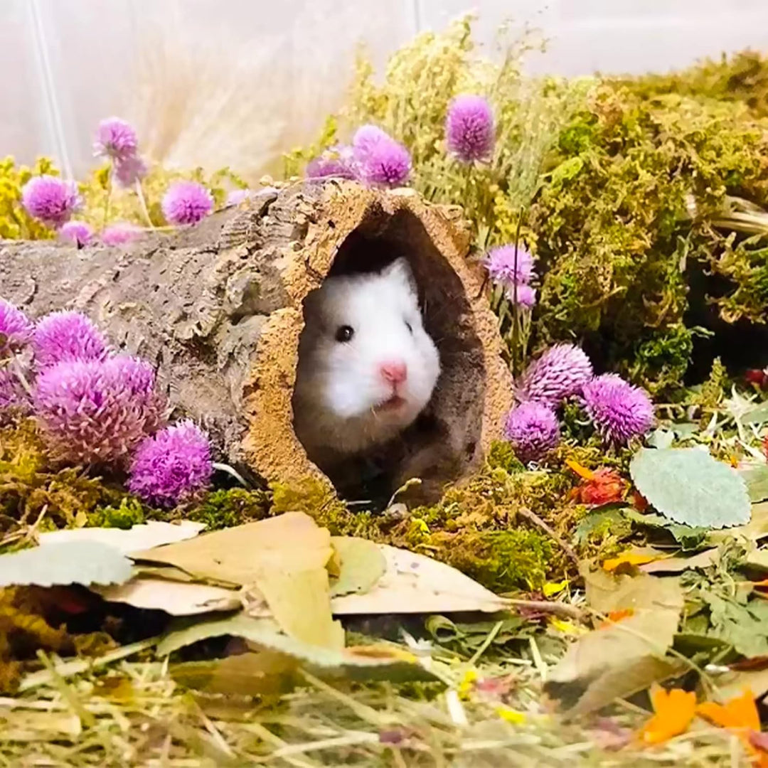 Natürliche Blumen- und Kräuter-Bettwäsche Mate Habitat-Dekor, fügt Spass Hamster Zubehör für Hamster