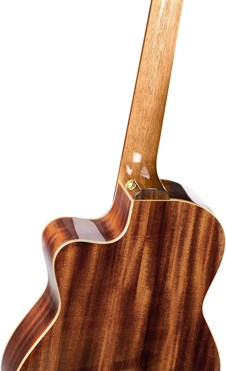 Ortega Guitars Slim Neck Konzertgitarre Performer Series 4/4 Thinline Korpus Elektro-akustische Gita