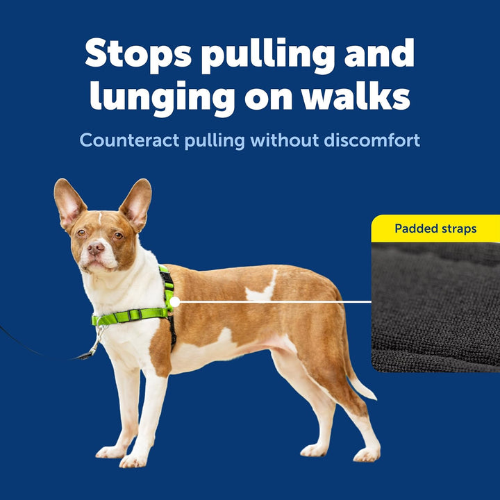 PetSafe Deluxe Easy Walk Hundegeschirr apfelgrün Medium, apfelgrün Medium
