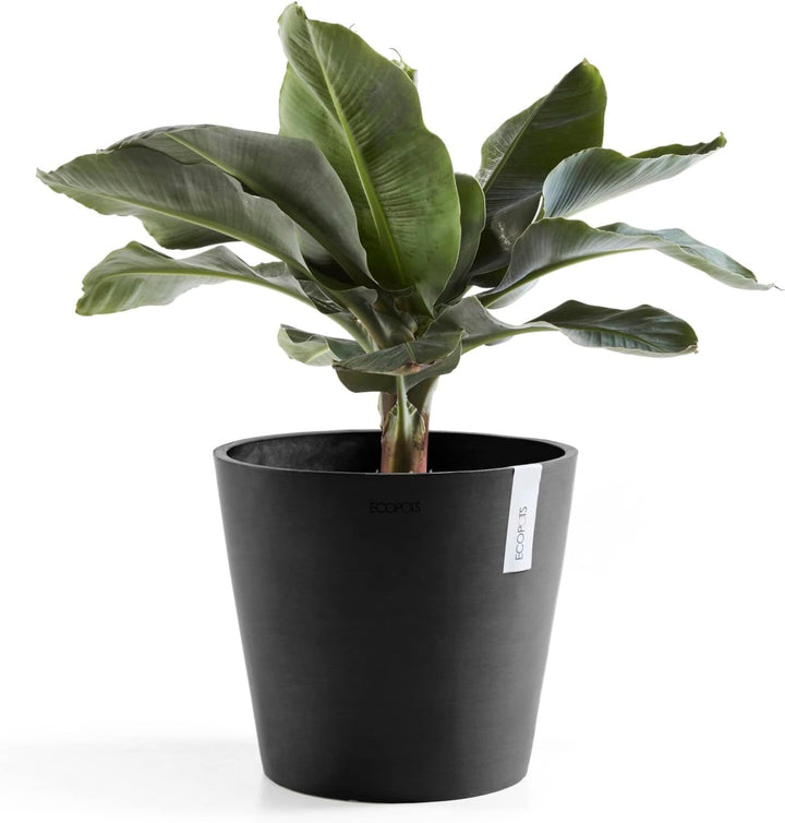 Ecopots Blumentopf Amsterdam Dunkel Grau - Durchmesser Ø 30 cm rund gross - Pflanzentopf aus Recycli