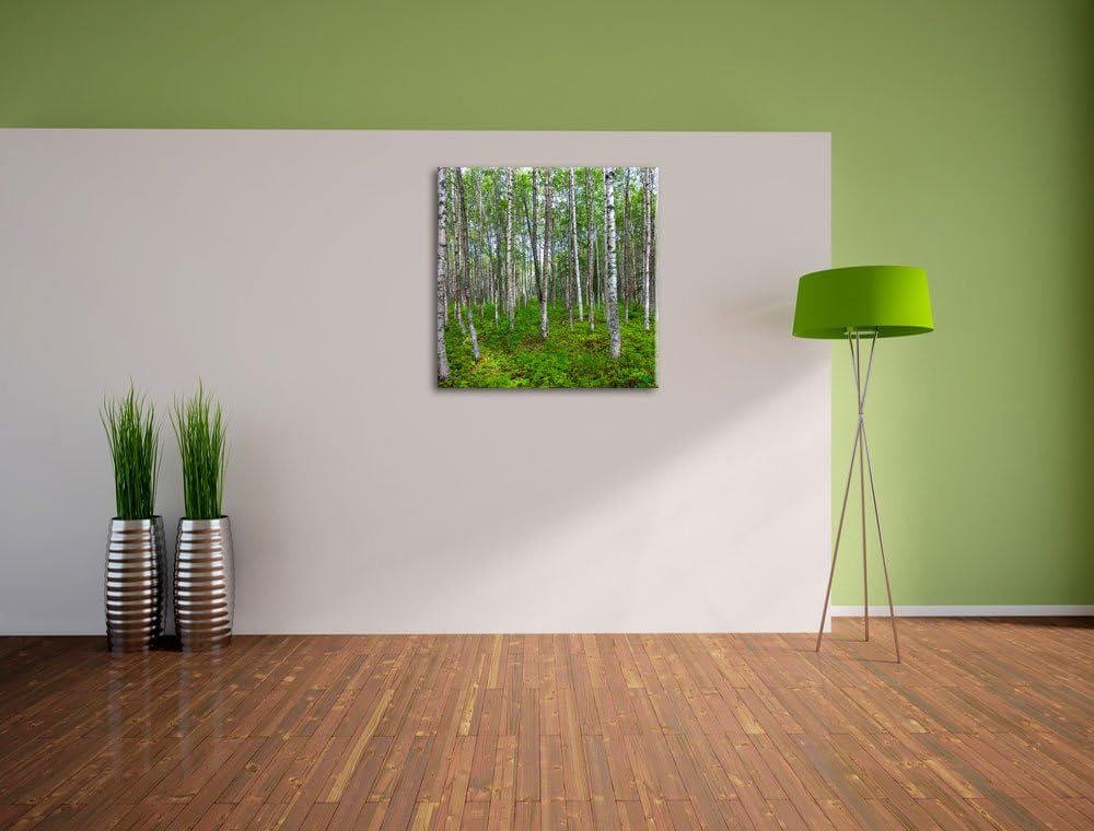 Pixxprint Birkenwald, Format: 70x70 auf Leinwand, XXL riesige Bilder fertig gerahmt mit Keilrahmen,