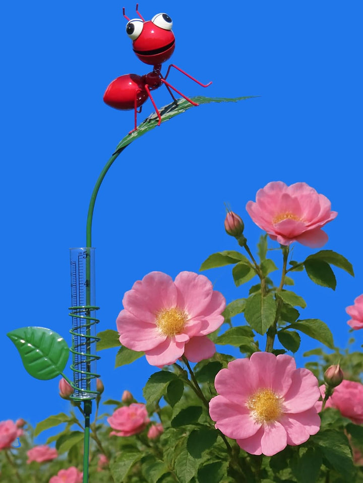 Pommerntraum ® | Regenmesser Niederschlagsmesser Pluviometer Gartendekoration Gartenstecker Gartenfi