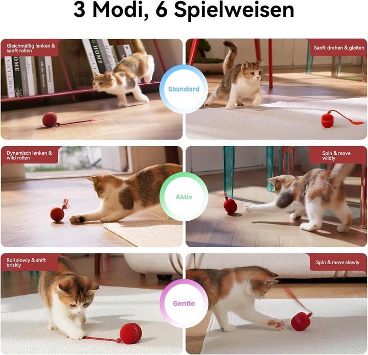 Cheerble 2 in 1 Interaktives Katzenspielzeug Elektrisch - Wicked Ball Duo2, Umschaltbarer rollender