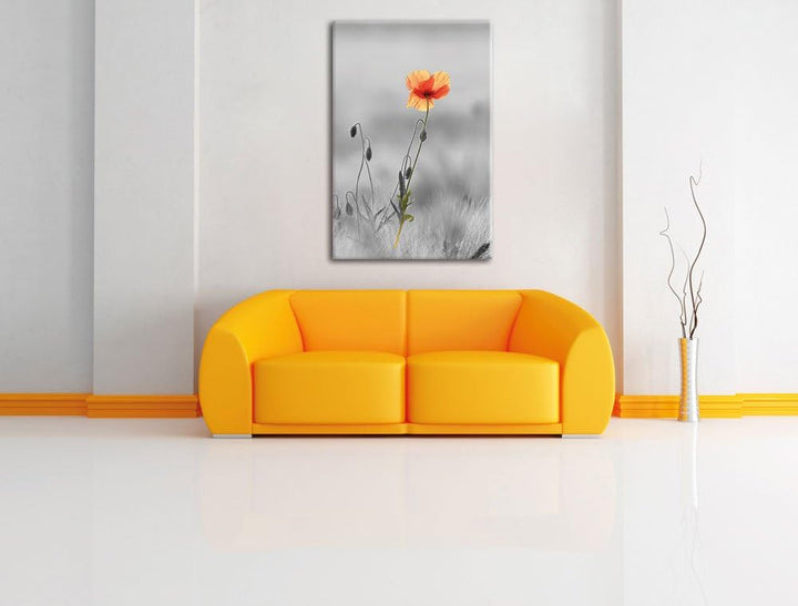 Pixxprint Rote Mohnblume im Feld als Leinwandbild/Grösse: 120x80 cm/Wandbild/Kunstdruck/fertig bespa