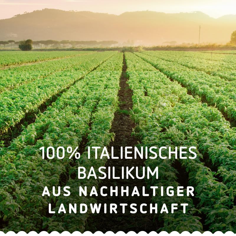 Barilla Pesto Basilico e Limone 12x190g | Glutenfreie Italienische Pasta-Sauce mit einer Note von Li