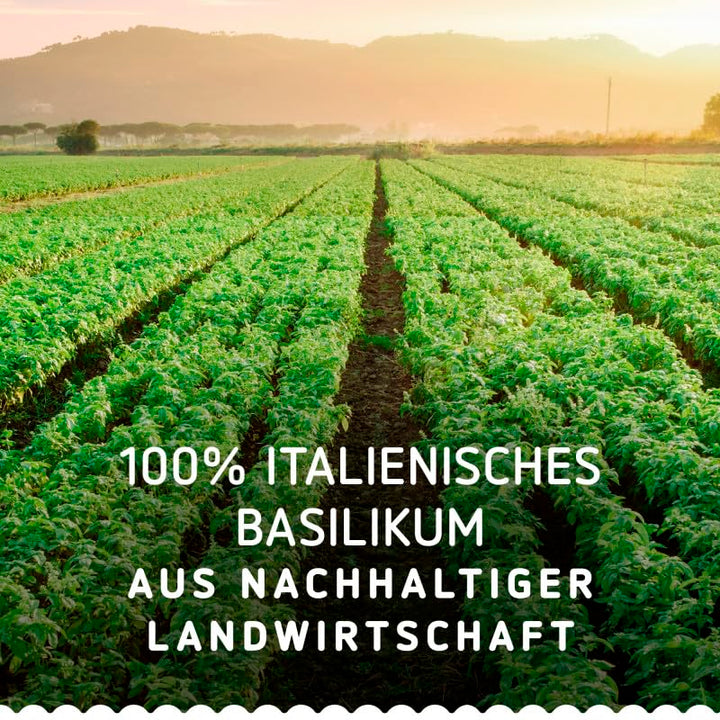 Barilla Pesto Basilico e Limone 12x190g | Glutenfreie Italienische Pasta-Sauce mit einer Note von Li
