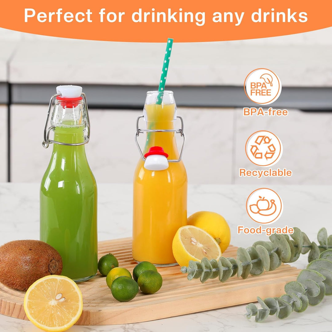 Zanfqvo Glasflaschen 250ml mit Bügelverschluss, 10 Stück Kleine Flaschen Zum Befüllen, Bügelflasche