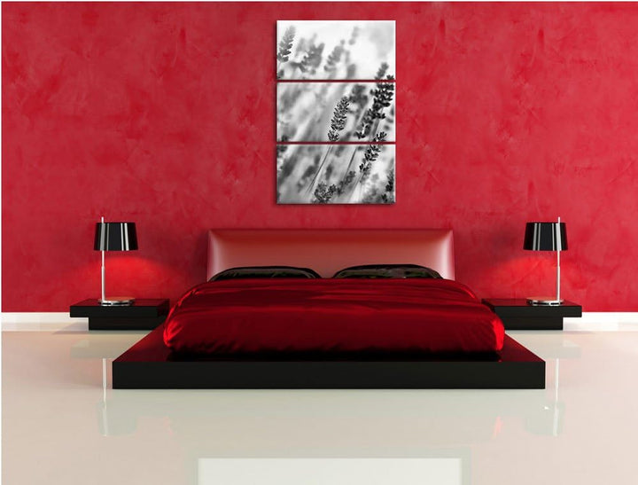 Pixxprint Schöner Lavendel im sanften Licht als Leinwandbild/Grösse: 3 Teilig (120x80) cm/Wandbild/K