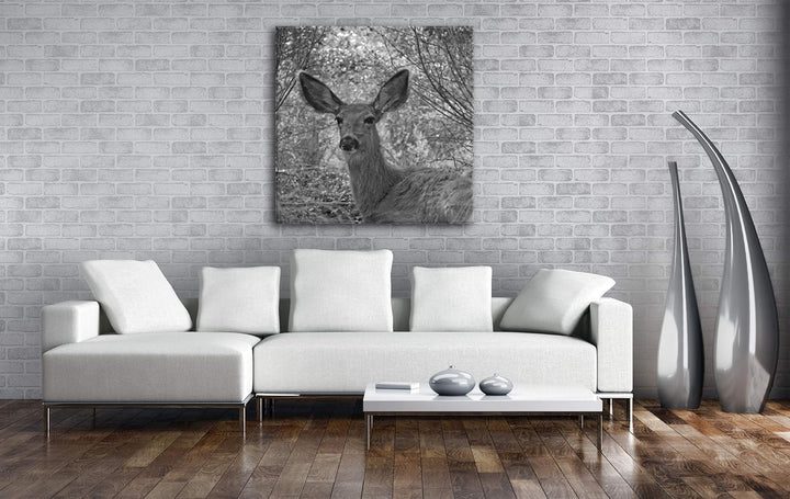 deyoli ruhiges REH im Wald Format: 70x70 Effekt: Schwarz&Weiss als Leinwandbild, Motiv auf Echtholzr