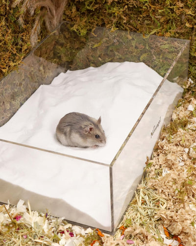 Niteangel Hamster Wüstenbad Sand | Staubfreier Badesand oder Streusand für Hamster, Chinchillas, Ger