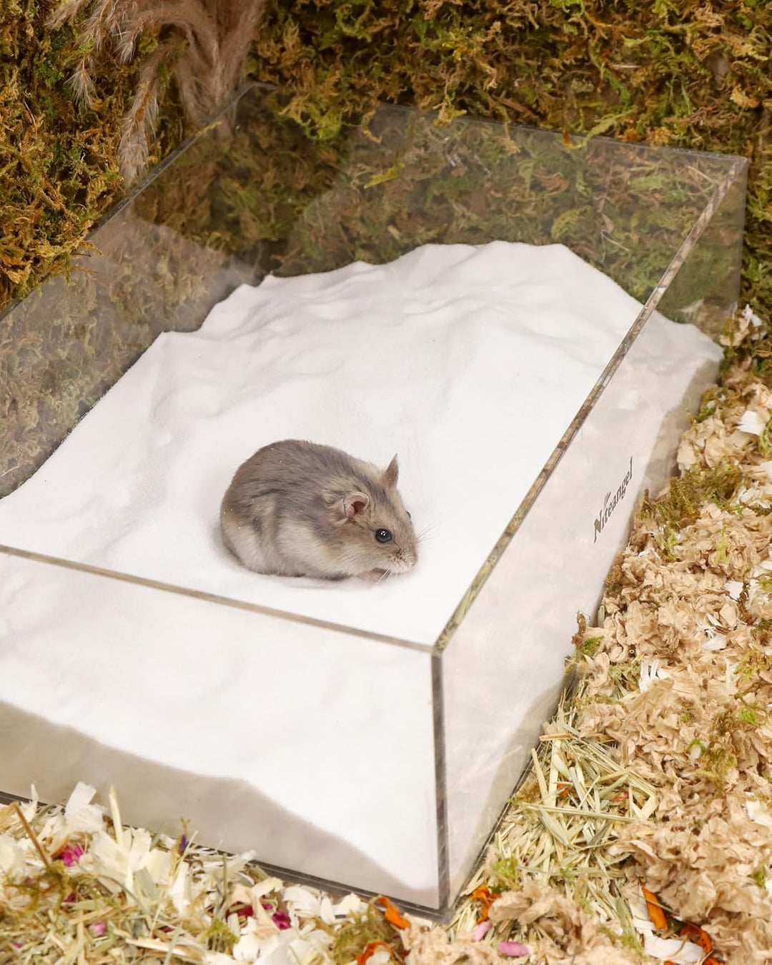 Niteangel Hamster Wüstenbad Sand | Staubfreier Badesand oder Streusand für Hamster, Chinchillas, Ger