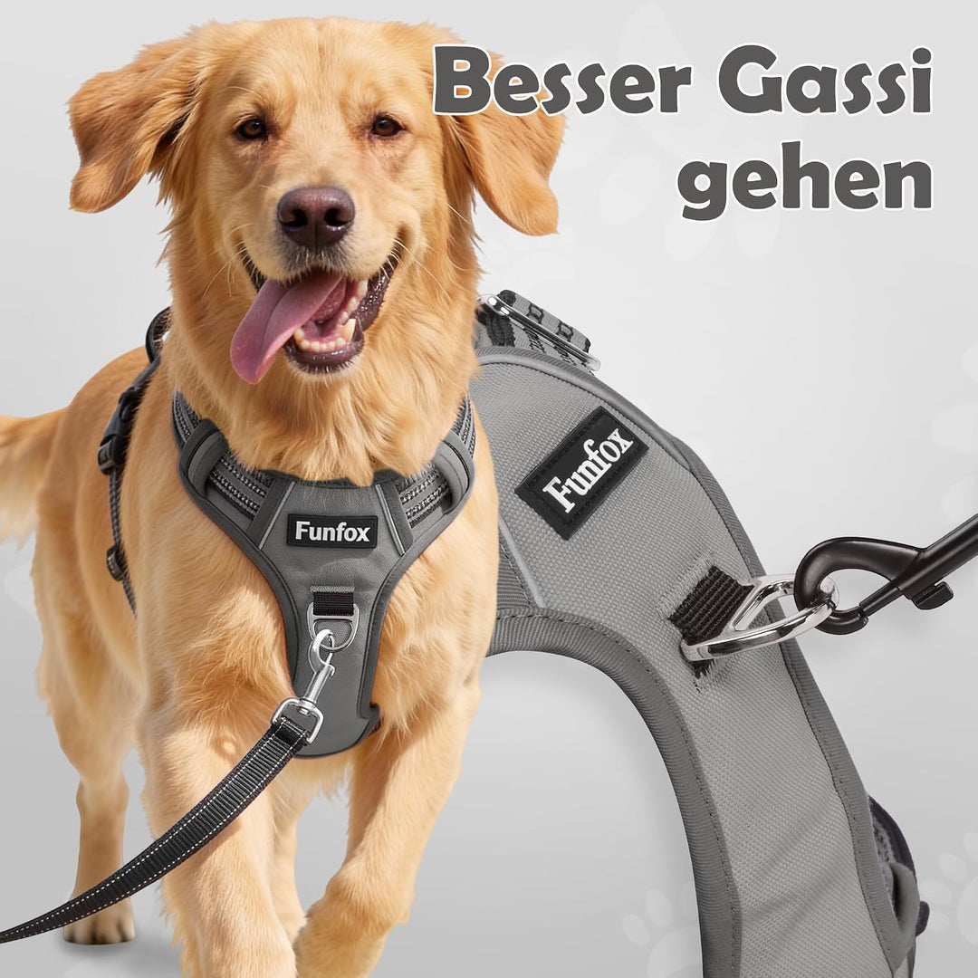 Funfox Hundegeschirr Kleine Hunde [S] - Anti Zug Welpengeschirr mit Griff &amp; Ringreflektoren, Atmungs