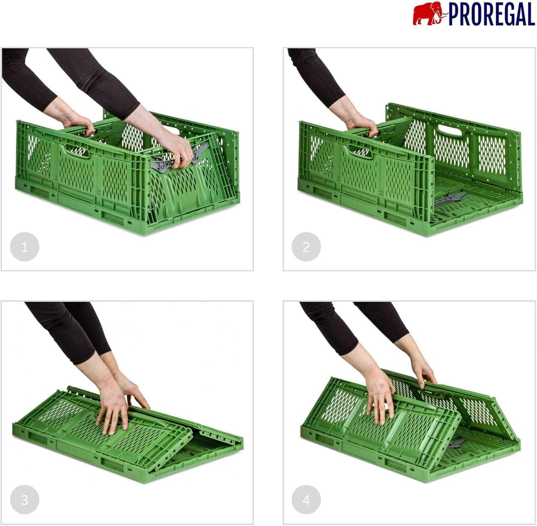 PROREGAL SuperSparSet 5x Stabile Profi-Klappbox Chameleon in Industriequalität | HxBxT 18x30x40cm |