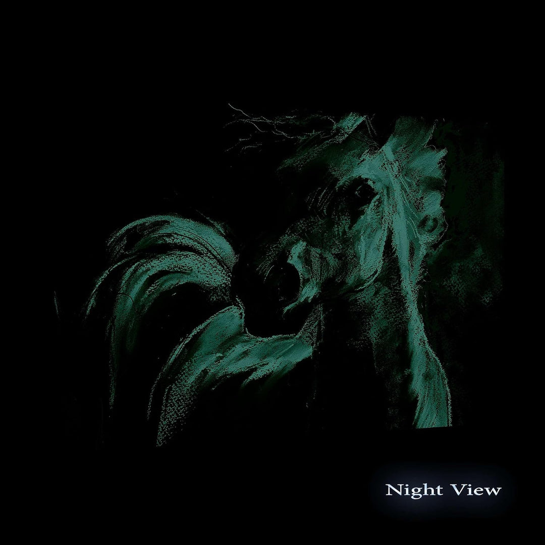Startonight Bilder Weisse Aquamarine Pferd, Leinwandbilder Moderne Kunst, Tiere Wanddeko Kunstdrucke