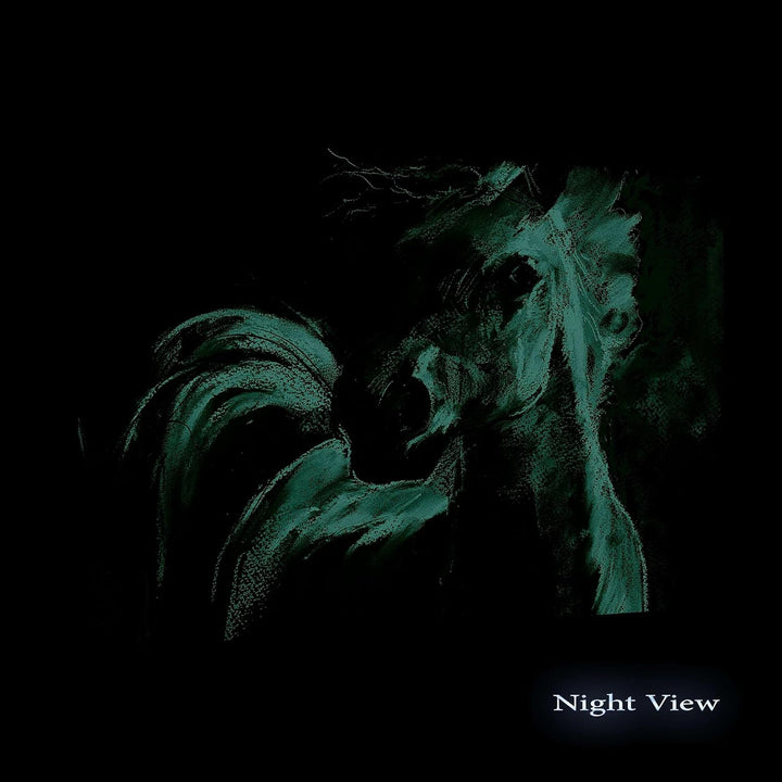 Startonight Bilder Weisse Aquamarine Pferd, Leinwandbilder Moderne Kunst, Tiere Wanddeko Kunstdrucke