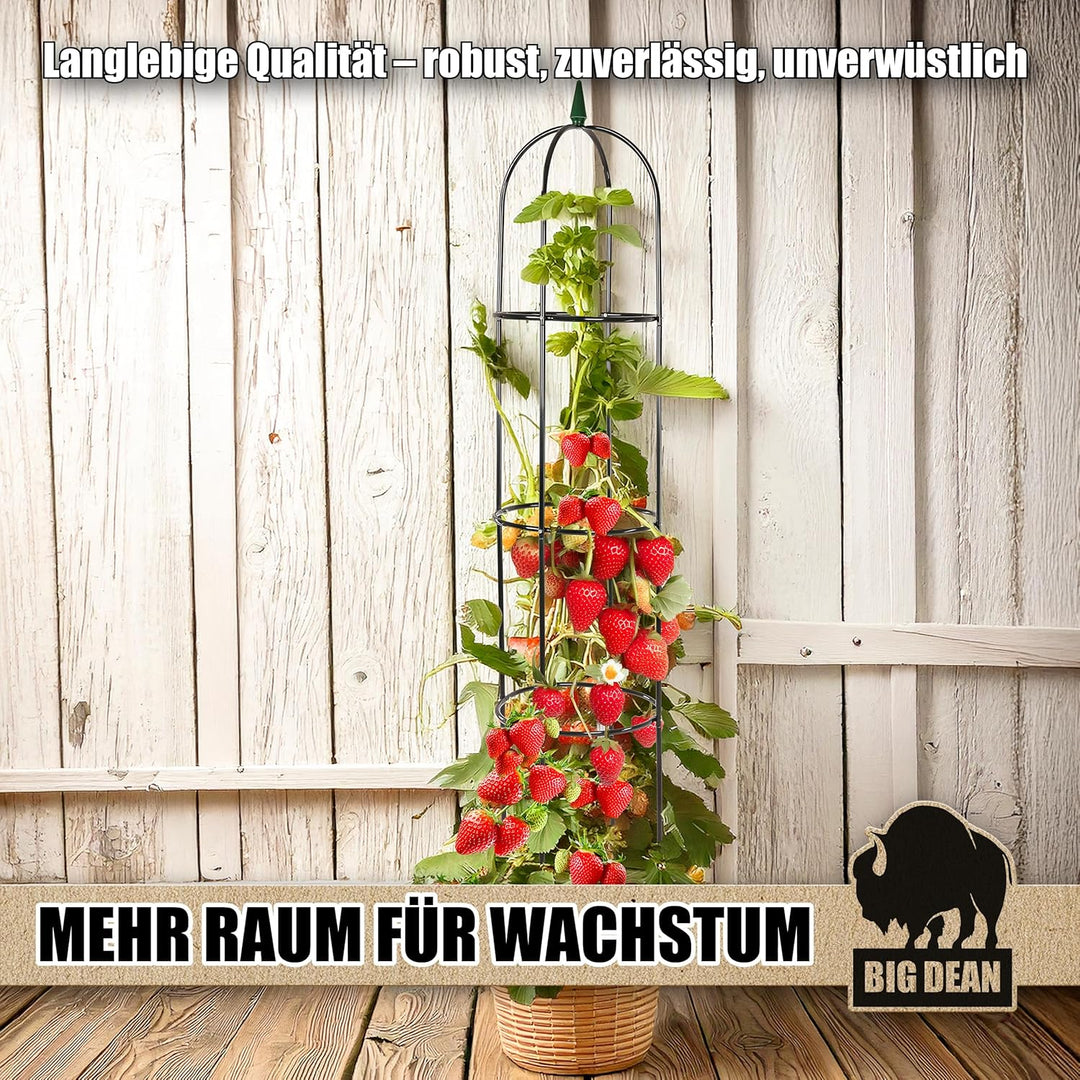 BigDean Rankgitter Metall Rosen Spalier 1,93 hohe Rankhilfe Garten