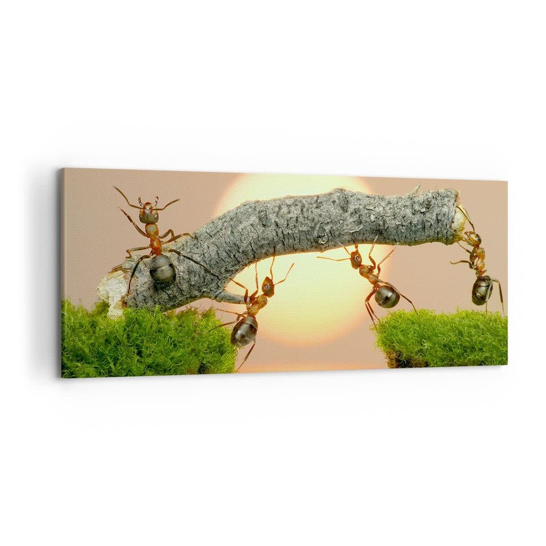Wandbilder Dekoration Wohnzimmer Tiere Ameisen Brücke Natur Panorama Bilder auf Leinwand 120x50cm Le