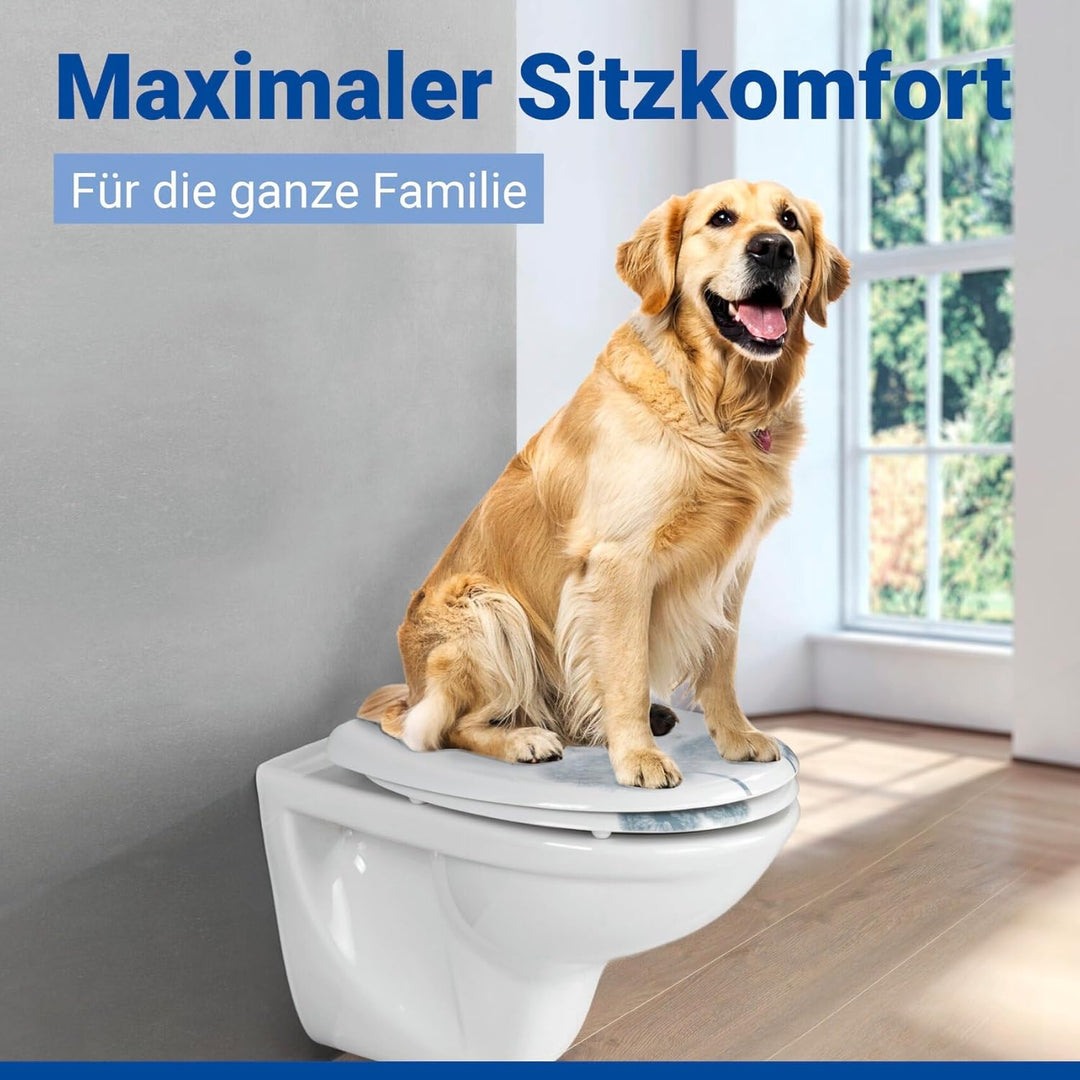 WENKO WC-Sitz Astera, Toilettensitz mit Absenkautomatik, Fix-Clip Hygiene-Befestigung, WC-Deckel aus