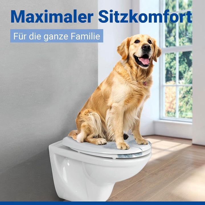 WENKO WC-Sitz Astera, Toilettensitz mit Absenkautomatik, Fix-Clip Hygiene-Befestigung, WC-Deckel aus