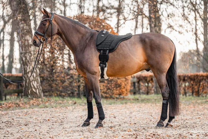 Equinate Reitpad Harper aus synthetischem Wildleder Pony Schwarz - Bareback Pad mit pflegeleichter N