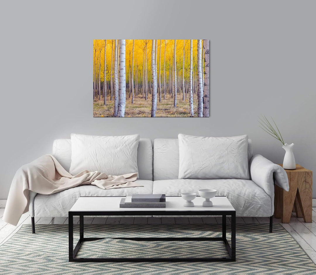 bestforhome 90x60cm Leinwandbild Birkenwald im Herbst mit gelben Blättern Leinwand auf Holzrahmen 60