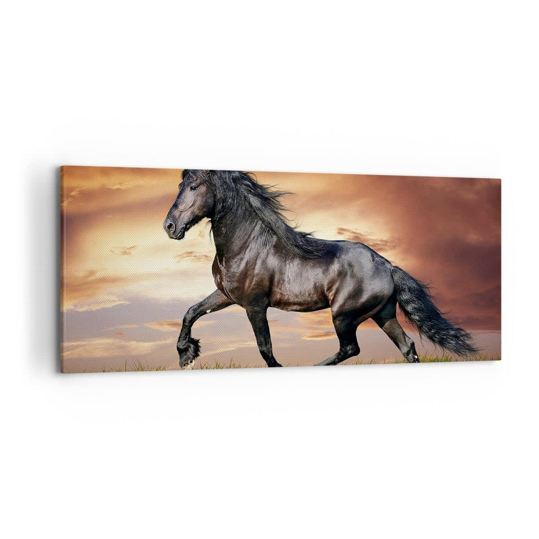Wandbilder Dekoration Wohnzimmer Pferd Tier Wiese Panorama Bilder auf Leinwand 120x50cm Leinwandbild