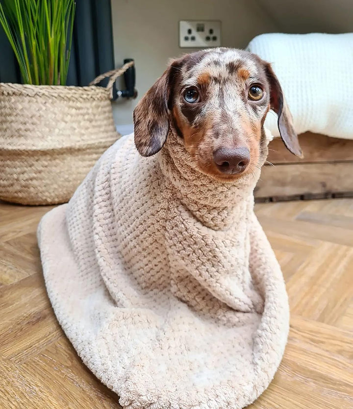 pet wiz Premium Mikrofaser Hunde-Trockentasche, super saugfähig und schnell trocknend, Bademantelhan